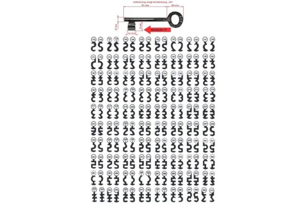 Buntbartschlüssel, Ersatzschlüssel Typ 946, Schließung 0 bis 310 auswählbar