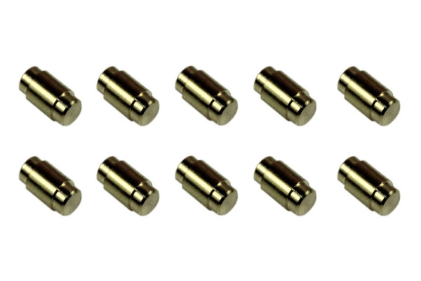 Gehäusestift, Kernstifthalter 2,9mm x 5,3mm SP Form für BKS Profilzylinder der Serie PZ 88, 89, 31 und 37 (10 Stück)
