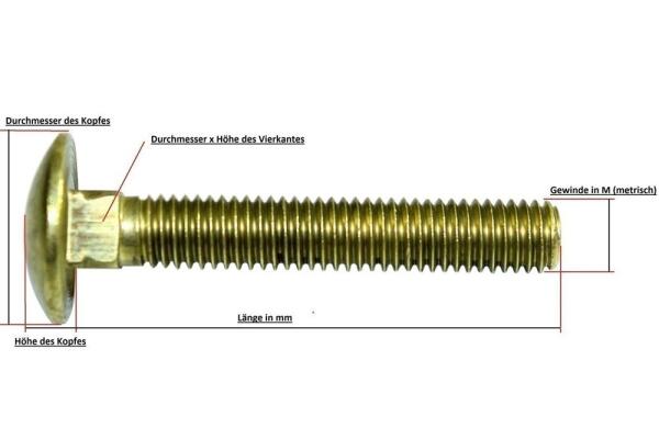 Messing Schlossschraube DIN603, M5x45 (20 Stück)