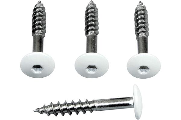 Fassadenschrauben V4A RAL 9010, 5,5x25mm Torx, weiß (25 Stück)